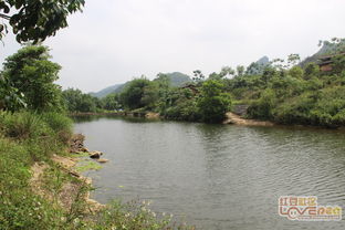大新苗龍灣 一處丞待開發的旅游秘境