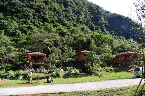 一業興撬動百業旺 肇慶百日打造網紅景區的文旅振興密碼